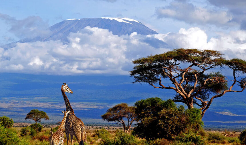 Arusha National Park Day Trip Safari